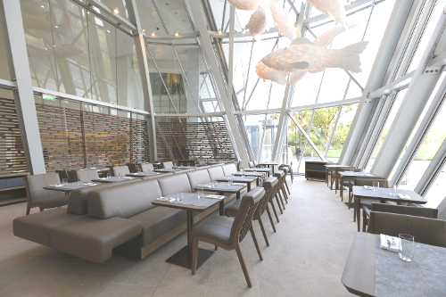 Restaurant Le Frank, fondation Louis Vuitton