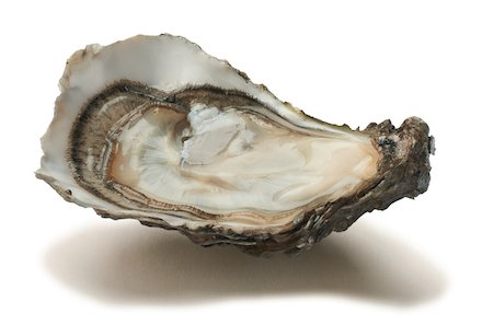 La Cabane des Huîtres itinérante à Paris