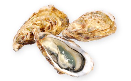 La Cabane des Huîtres itinérante à Paris