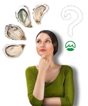 La Cabane des Huîtres itinérante à Paris