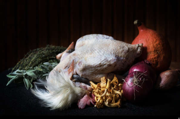 astier volaille bresse