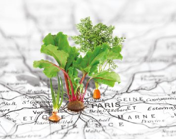 Cervia, produits d'ici cuisinés ici 