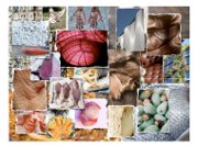 paris des chefs 2012