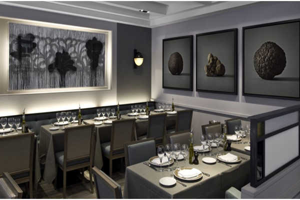 truffe blanche 2018 4