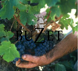 Vins de Buzet