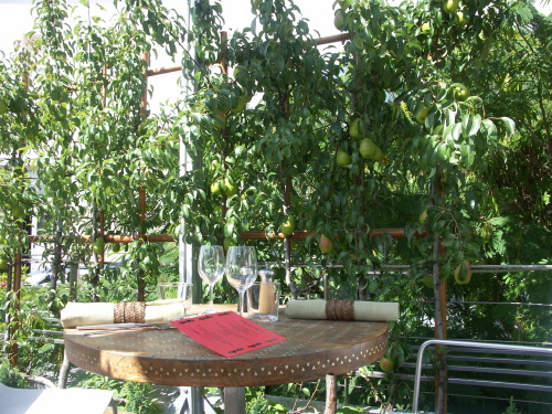 Photo Restaurant Paris Apollo 75014 : sa grande terrasse fleurie, agréable havre bucolique les jours de soleil 