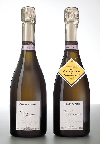 Champagne de vignerons : en blanc