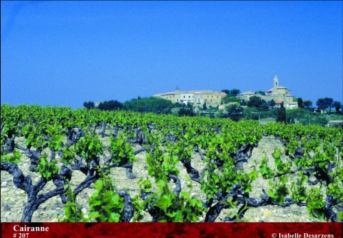 Côtes du Rhône millésime 2007