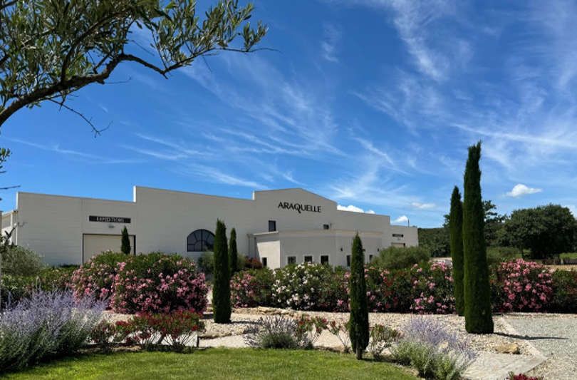 Cadeaux de Noël 2026 tout tisane et thé 