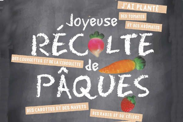 atelier chocolat paques 2017 1