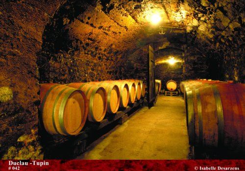 Côtes du Rhône millésime 2007