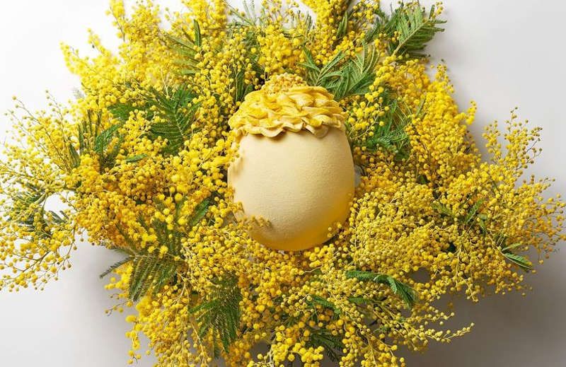 œuf de Pâques Mimosa