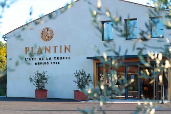 Plantin : la truffe dans tous ses états 2