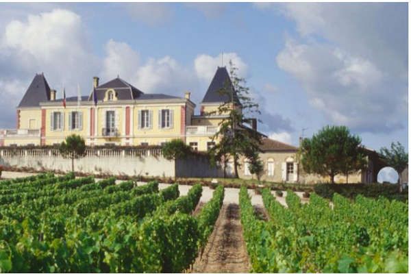 Château de France rouge ou blanc 3