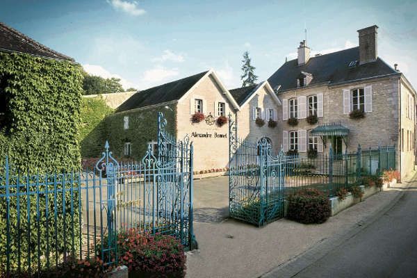 Rosé des Riceys 2022