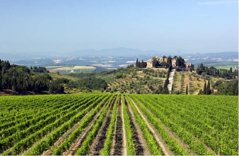 Brunello de Tenuta CastelGiocondo