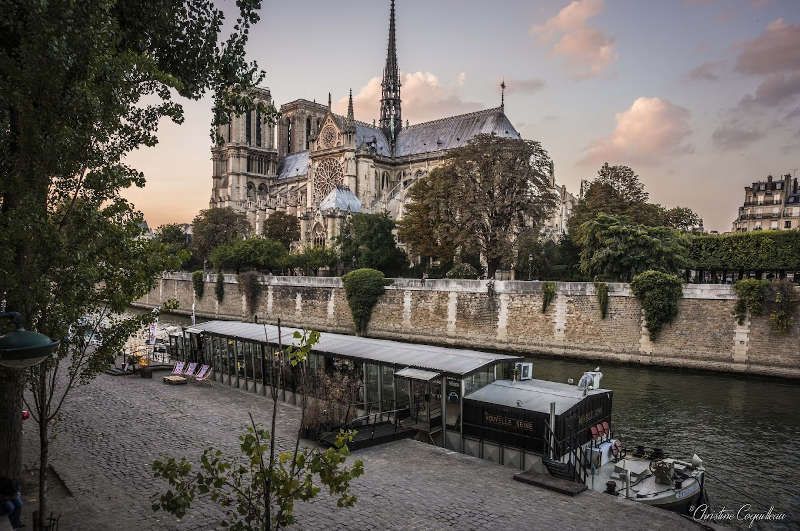 restaurant Nouvelle Seine
