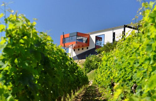 Chateau La Croizille : le chai