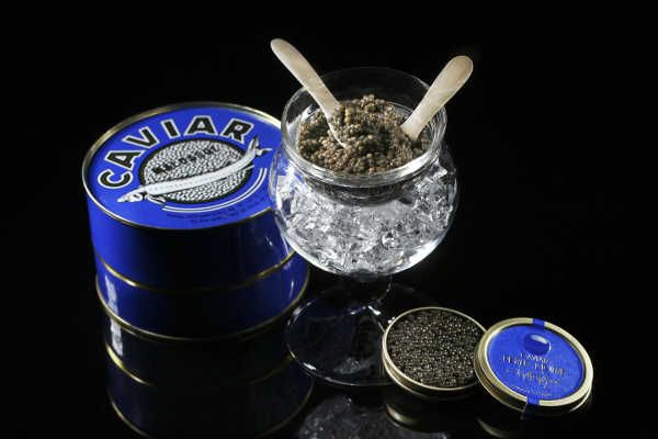 Caviar Perle Noire pour les fêtes et les réveillons