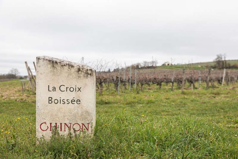 Chinon blanc Bois d'Arçon 2023 