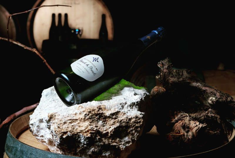 Champagne pernet pour les réveillons