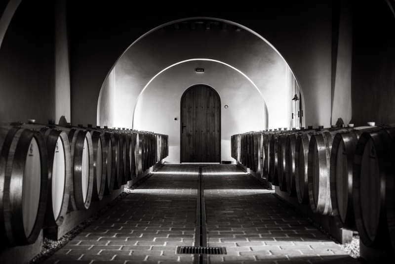 Sancerre Domaine Fournier : 